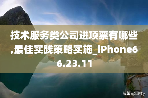 技术服务类公司进项票有哪些,最佳实践策略实施_iPhone66.23.11