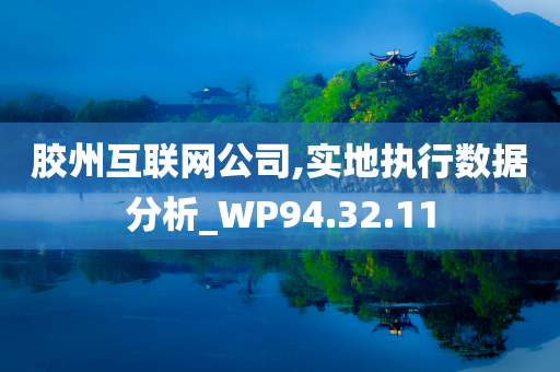 胶州互联网公司,实地执行数据分析_WP94.32.11