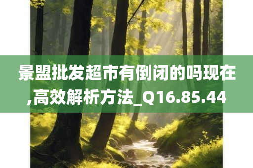 景盟批发超市有倒闭的吗现在,高效解析方法_Q16.85.44