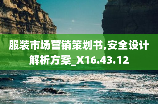 服装市场营销策划书,安全设计解析方案_X16.43.12