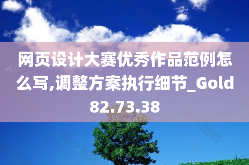 网页设计大赛优秀作品范例怎么写,调整方案执行细节_Gold82.73.38