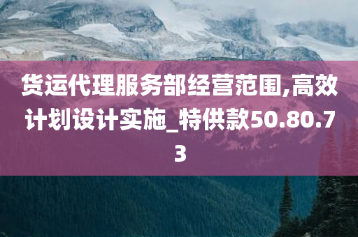 货运代理服务部经营范围,高效计划设计实施_特供款50.80.73