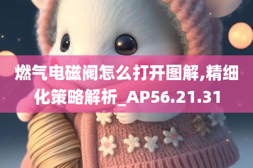 燃气电磁阀怎么打开图解,精细化策略解析_AP56.21.31