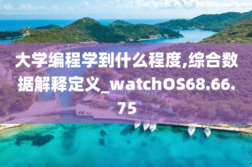 大学编程学到什么程度,综合数据解释定义_watchOS68.66.75