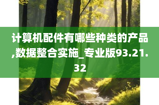 计算机配件有哪些种类的产品,数据整合实施_专业版93.21.32