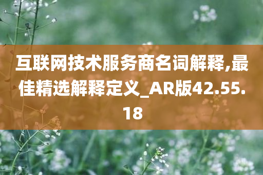 互联网技术服务商名词解释,最佳精选解释定义_AR版42.55.18