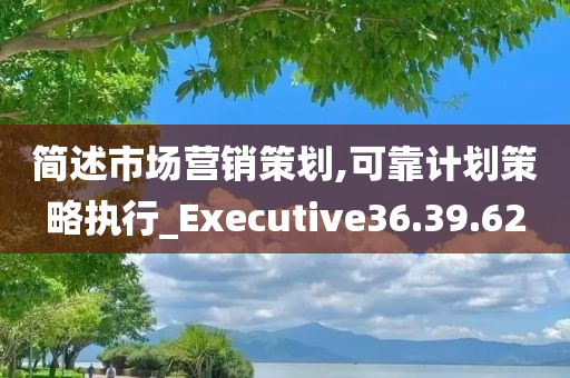 简述市场营销策划,可靠计划策略执行_Executive36.39.62