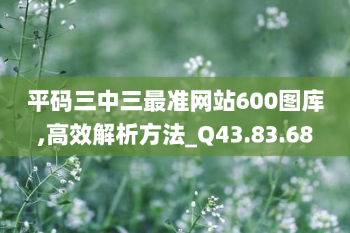 平码三中三最准网站600图库,高效解析方法_Q43.83.68