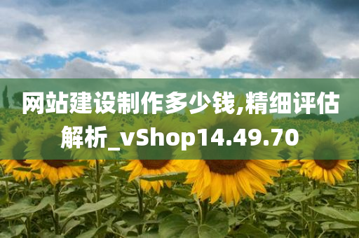 网站建设制作多少钱,精细评估解析_vShop14.49.70