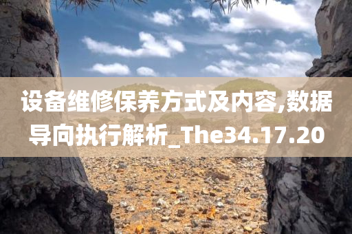 设备维修保养方式及内容,数据导向执行解析_The34.17.20