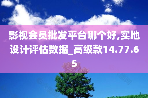 影视会员批发平台哪个好,实地设计评估数据_高级款14.77.65