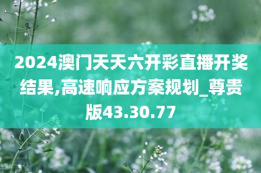 2024澳门天天六开彩直播开奖结果,高速响应方案规划_尊贵版43.30.77