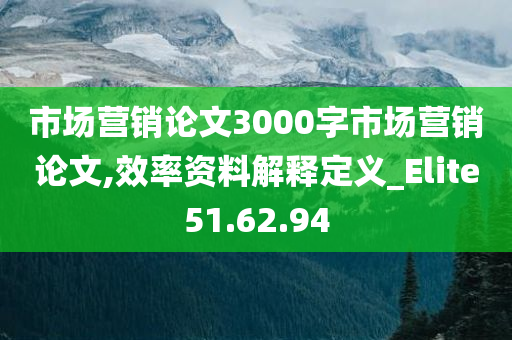 市场营销论文3000字市场营销论文,效率资料解释定义_Elite51.62.94