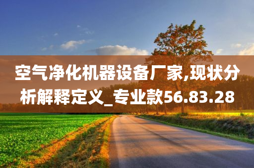 空气净化机器设备厂家,现状分析解释定义_专业款56.83.28