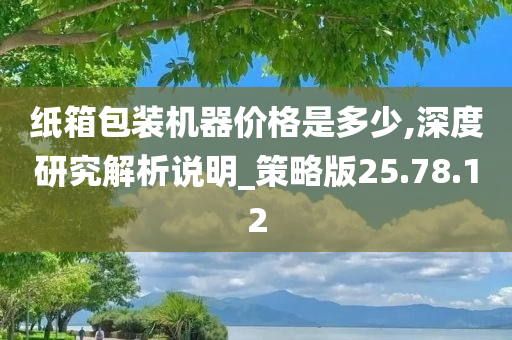 纸箱包装机器价格是多少,深度研究解析说明_策略版25.78.12