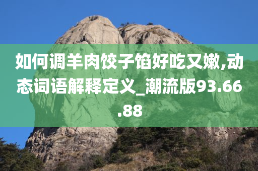 如何调羊肉饺子馅好吃又嫩,动态词语解释定义_潮流版93.66.88