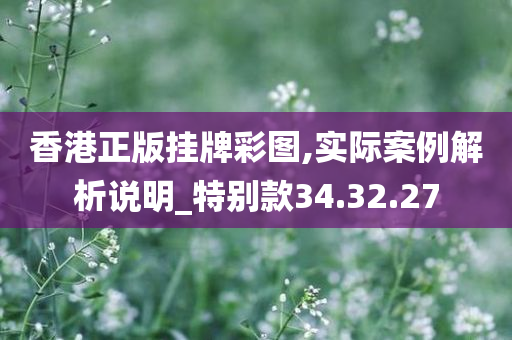 香港正版挂牌彩图,实际案例解析说明_特别款34.32.27