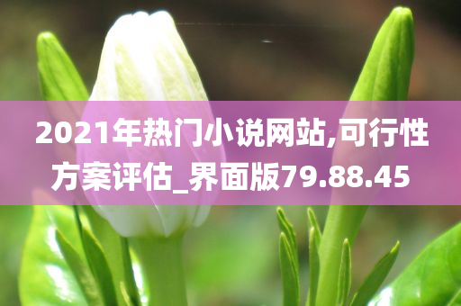 2021年热门小说网站,可行性方案评估_界面版79.88.45