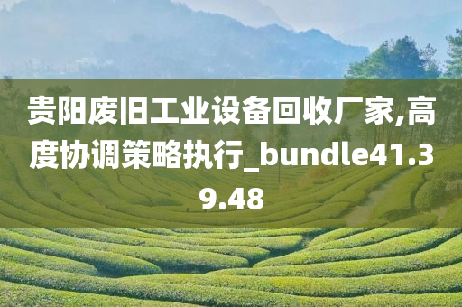 贵阳废旧工业设备回收厂家,高度协调策略执行_bundle41.39.48