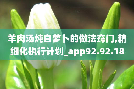 羊肉汤炖白萝卜的做法窍门,精细化执行计划_app92.92.18