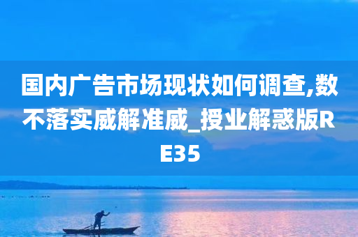 国内广告市场现状如何调查,数不落实威解准威_授业解惑版RE35