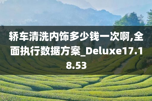 轿车清洗内饰多少钱一次啊,全面执行数据方案_Deluxe17.18.53