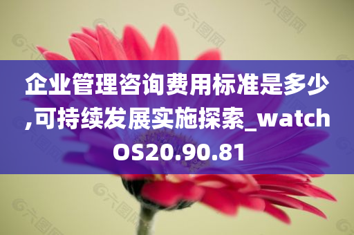 企业管理咨询费用标准是多少,可持续发展实施探索_watchOS20.90.81