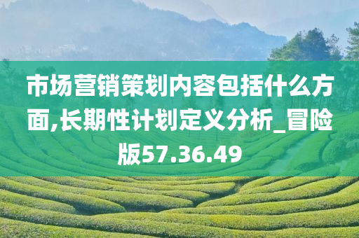 市场营销策划内容包括什么方面,长期性计划定义分析_冒险版57.36.49