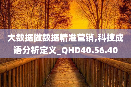 大数据做数据精准营销,科技成语分析定义_QHD40.56.40