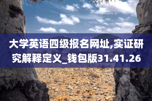 大学英语四级报名网址,实证研究解释定义_钱包版31.41.26