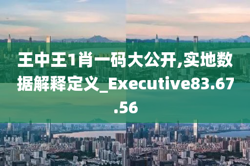 王中王1肖一码大公开,实地数据解释定义_Executive83.67.56