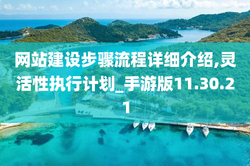 网站建设步骤流程详细介绍,灵活性执行计划_手游版11.30.21