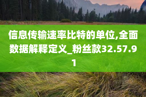 信息传输速率比特的单位,全面数据解释定义_粉丝款32.57.91