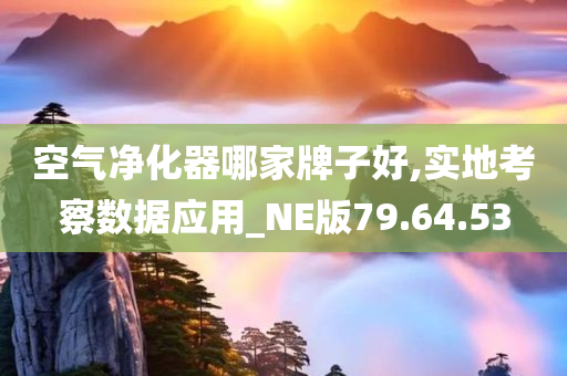 空气净化器哪家牌子好,实地考察数据应用_NE版79.64.53