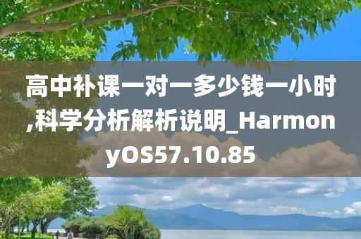 高中补课一对一多少钱一小时,科学分析解析说明_HarmonyOS57.10.85