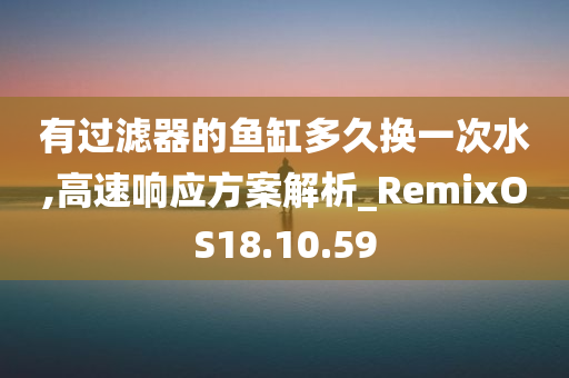 有过滤器的鱼缸多久换一次水,高速响应方案解析_RemixOS18.10.59