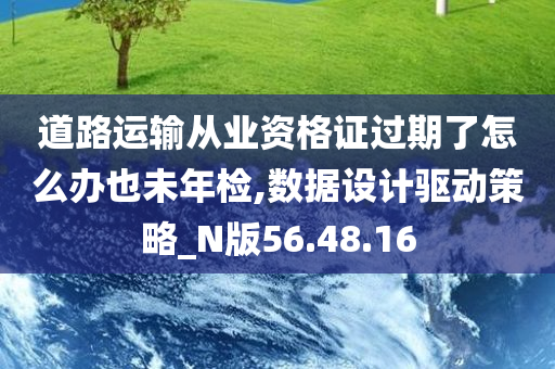 道路运输从业资格证过期了怎么办也未年检,数据设计驱动策略_N版56.48.16