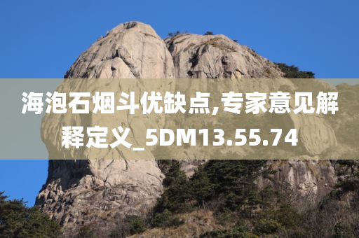 海泡石烟斗优缺点,专家意见解释定义_5DM13.55.74