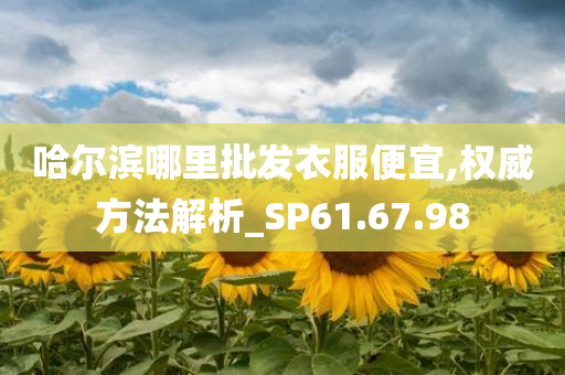 哈尔滨哪里批发衣服便宜,权威方法解析_SP61.67.98