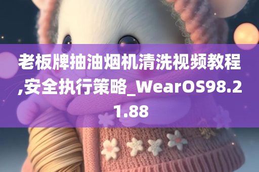 老板牌抽油烟机清洗视频教程,安全执行策略_WearOS98.21.88