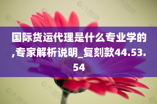 国际货运代理是什么专业学的,专家解析说明_复刻款44.53.54