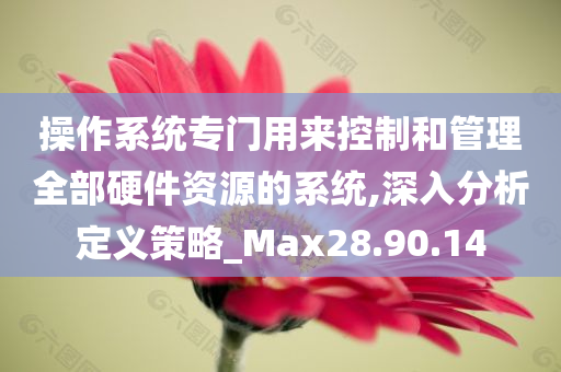 操作系统专门用来控制和管理全部硬件资源的系统,深入分析定义策略_Max28.90.14