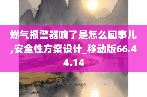 燃气报警器响了是怎么回事儿,安全性方案设计_移动版66.44.14