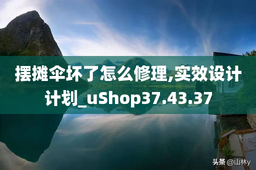 摆摊伞坏了怎么修理,实效设计计划_uShop37.43.37