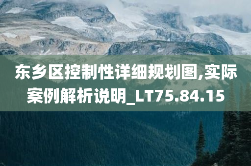 东乡区控制性详细规划图,实际案例解析说明_LT75.84.15