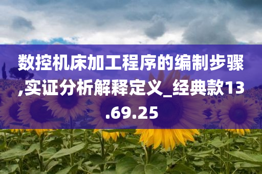 数控机床加工程序的编制步骤,实证分析解释定义_经典款13.69.25