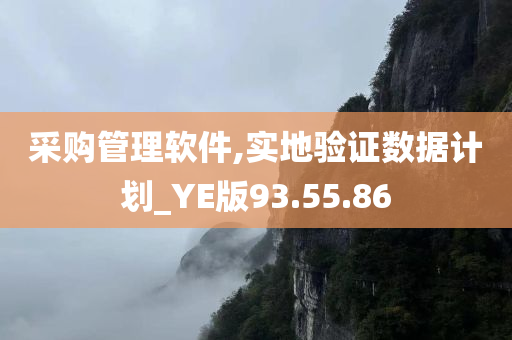 采购管理软件,实地验证数据计划_YE版93.55.86