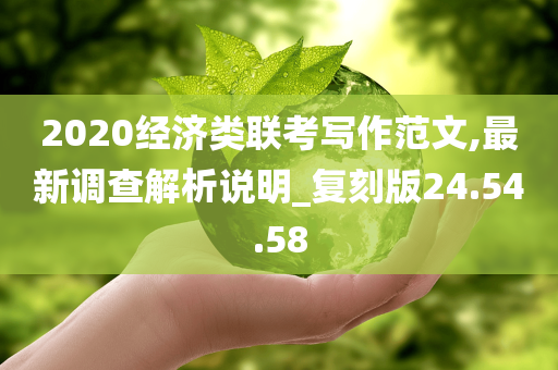 2020经济类联考写作范文,最新调查解析说明_复刻版24.54.58