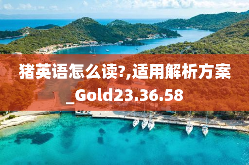 猪英语怎么读?,适用解析方案_Gold23.36.58