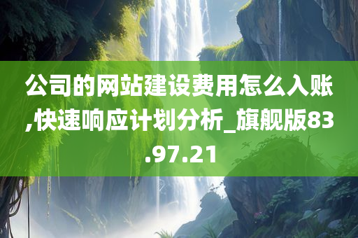 公司的网站建设费用怎么入账,快速响应计划分析_旗舰版83.97.21